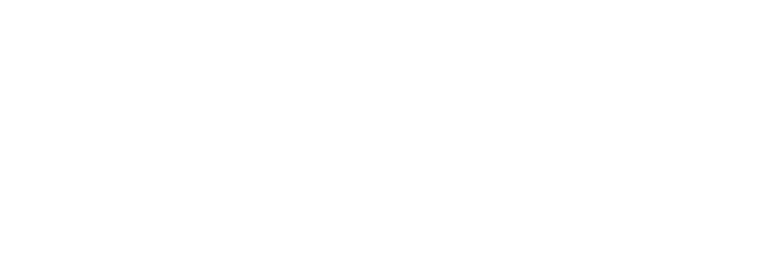 impact erp system